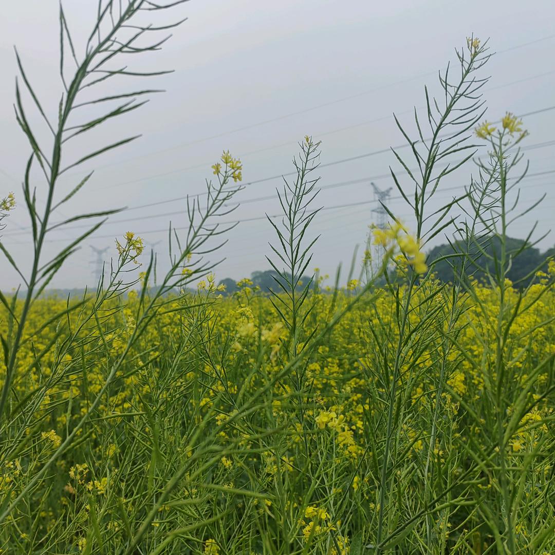 🐳以父之名~洪