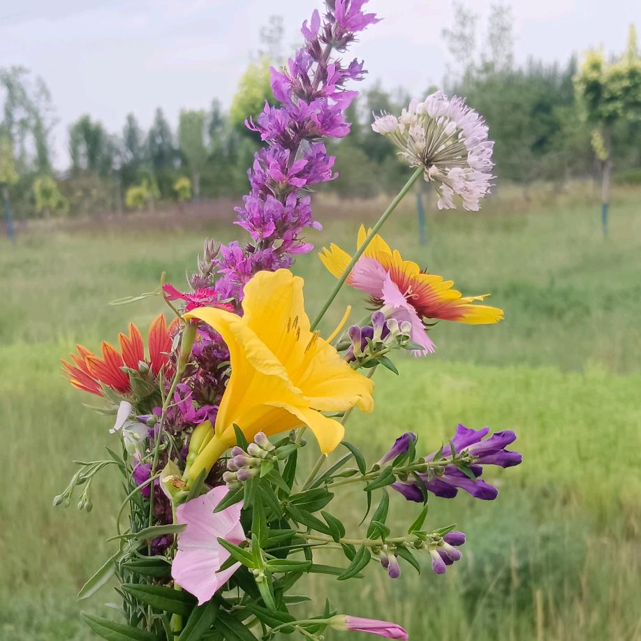 成功🍎靠自己🍎