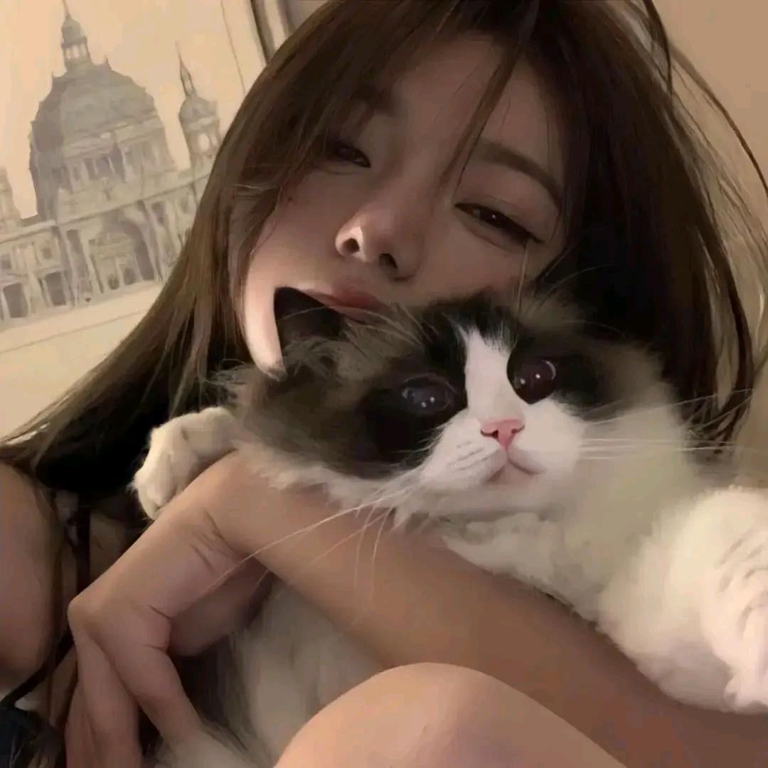 爱你的甜甜