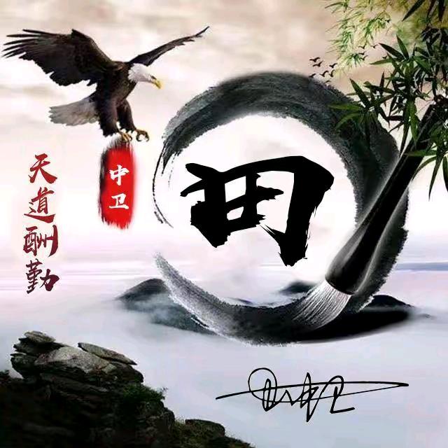 田总