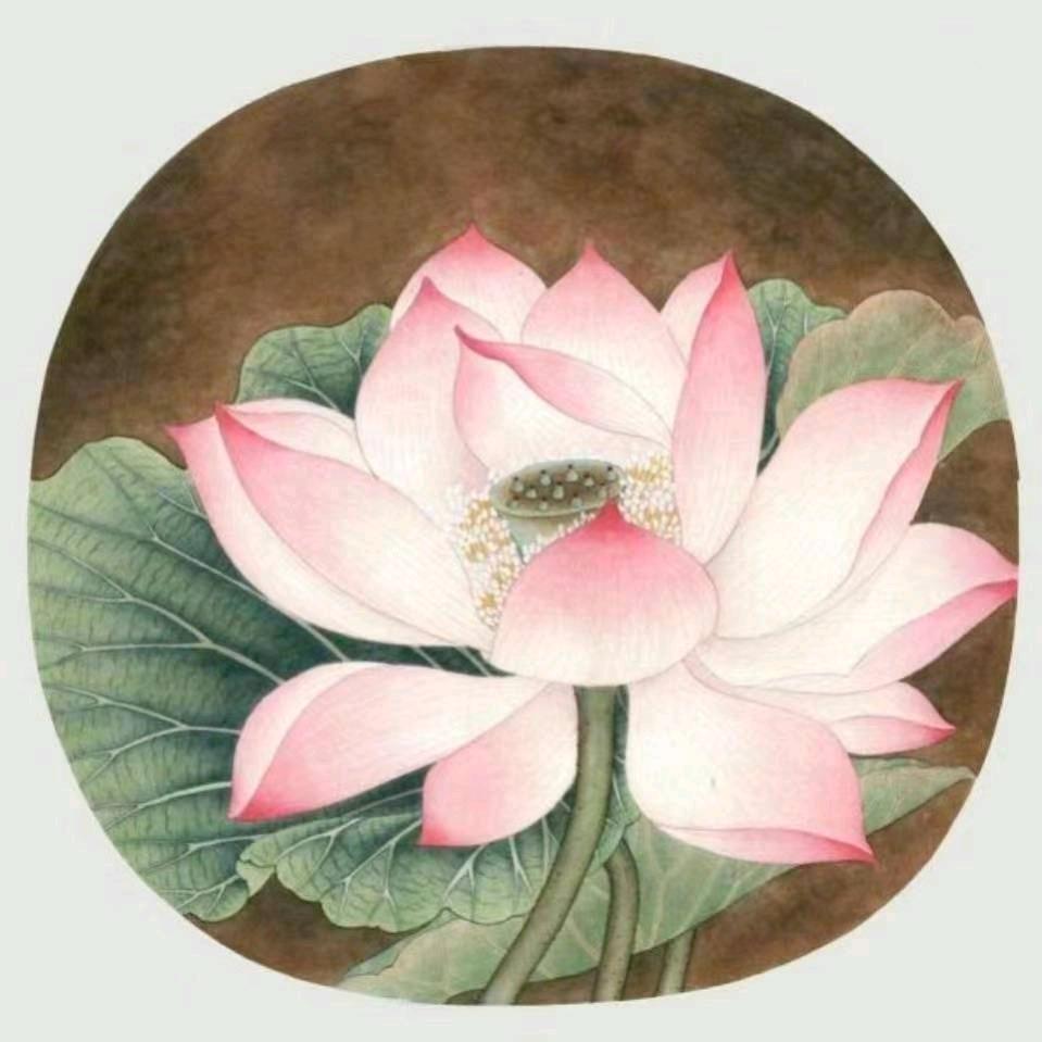走心的爷