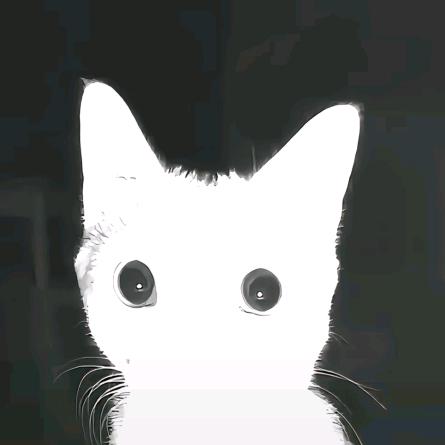 鼻史大盗