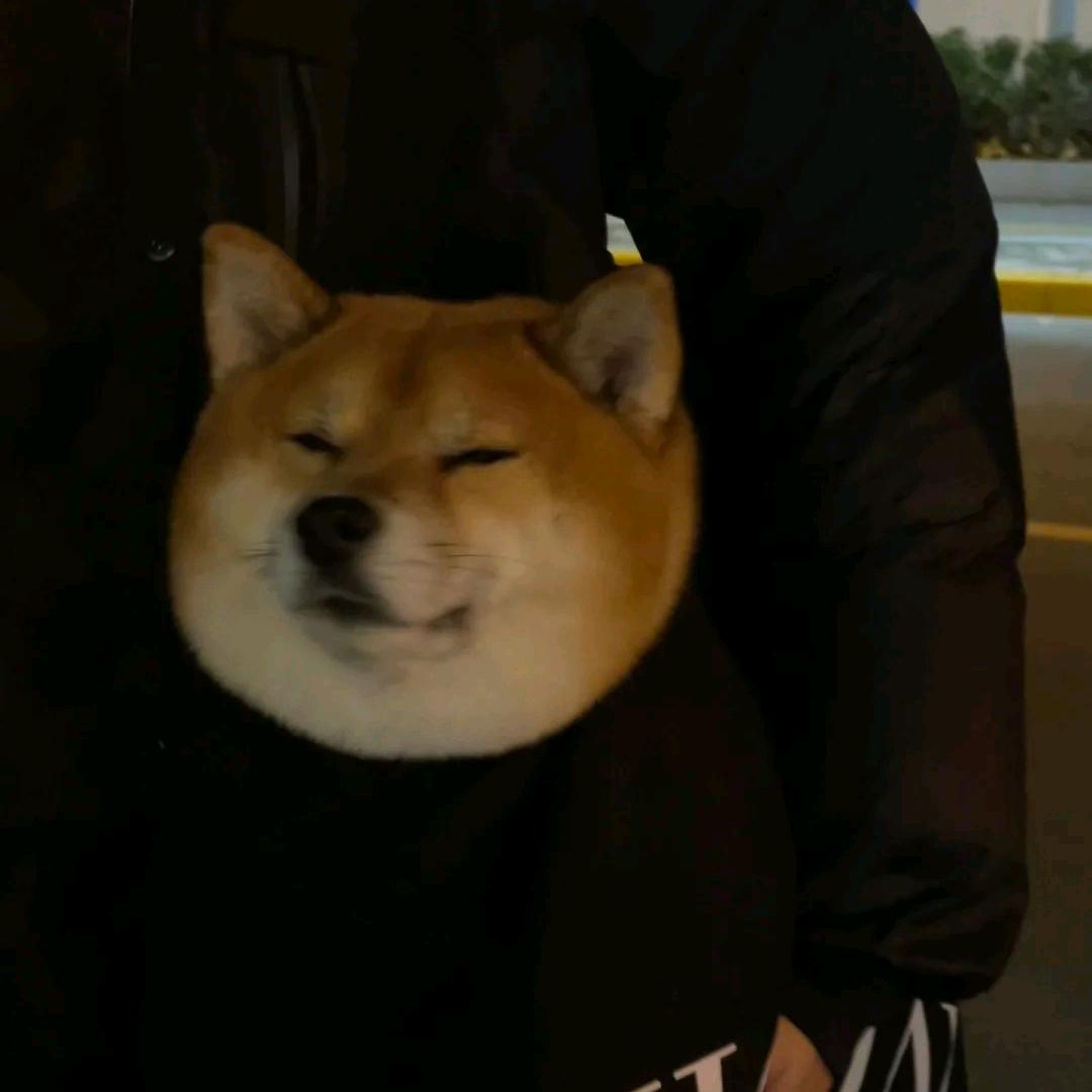 气势，，