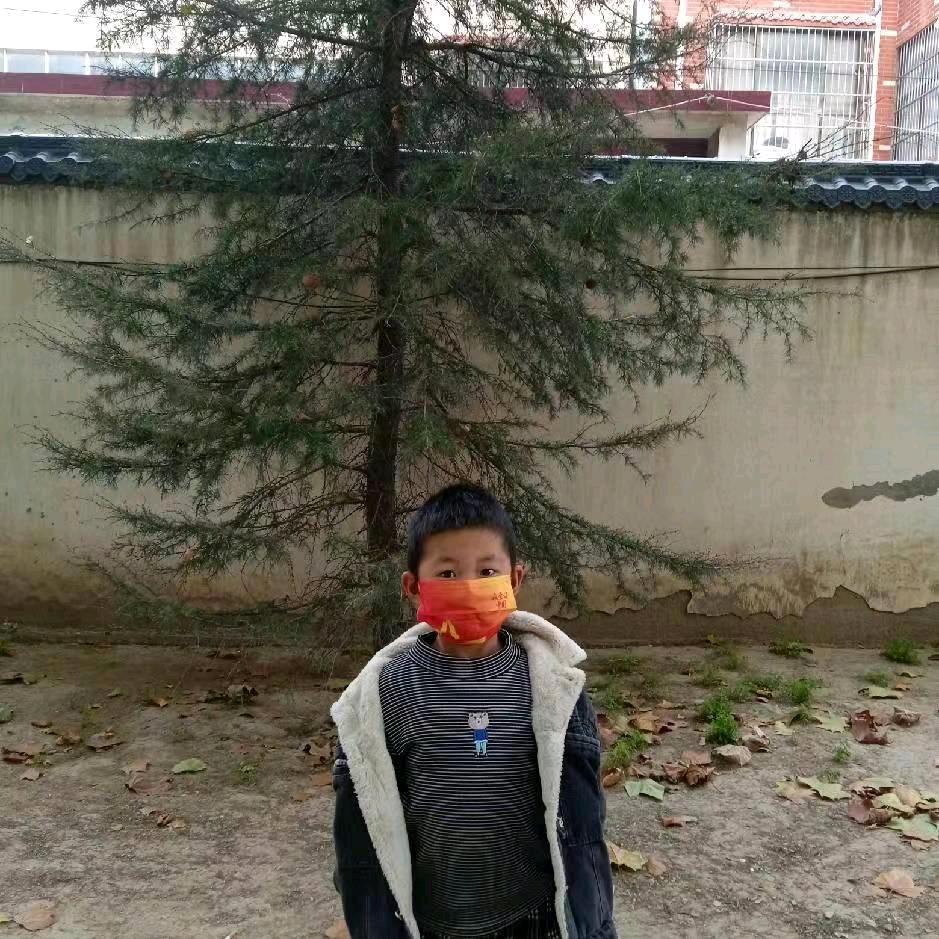 河南的狼