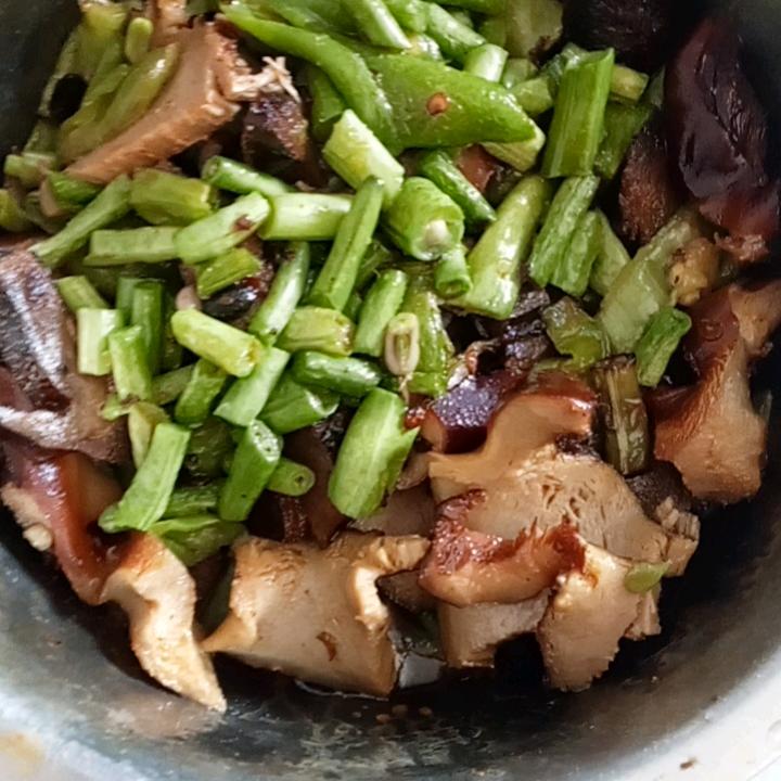 安康驼鸟王子