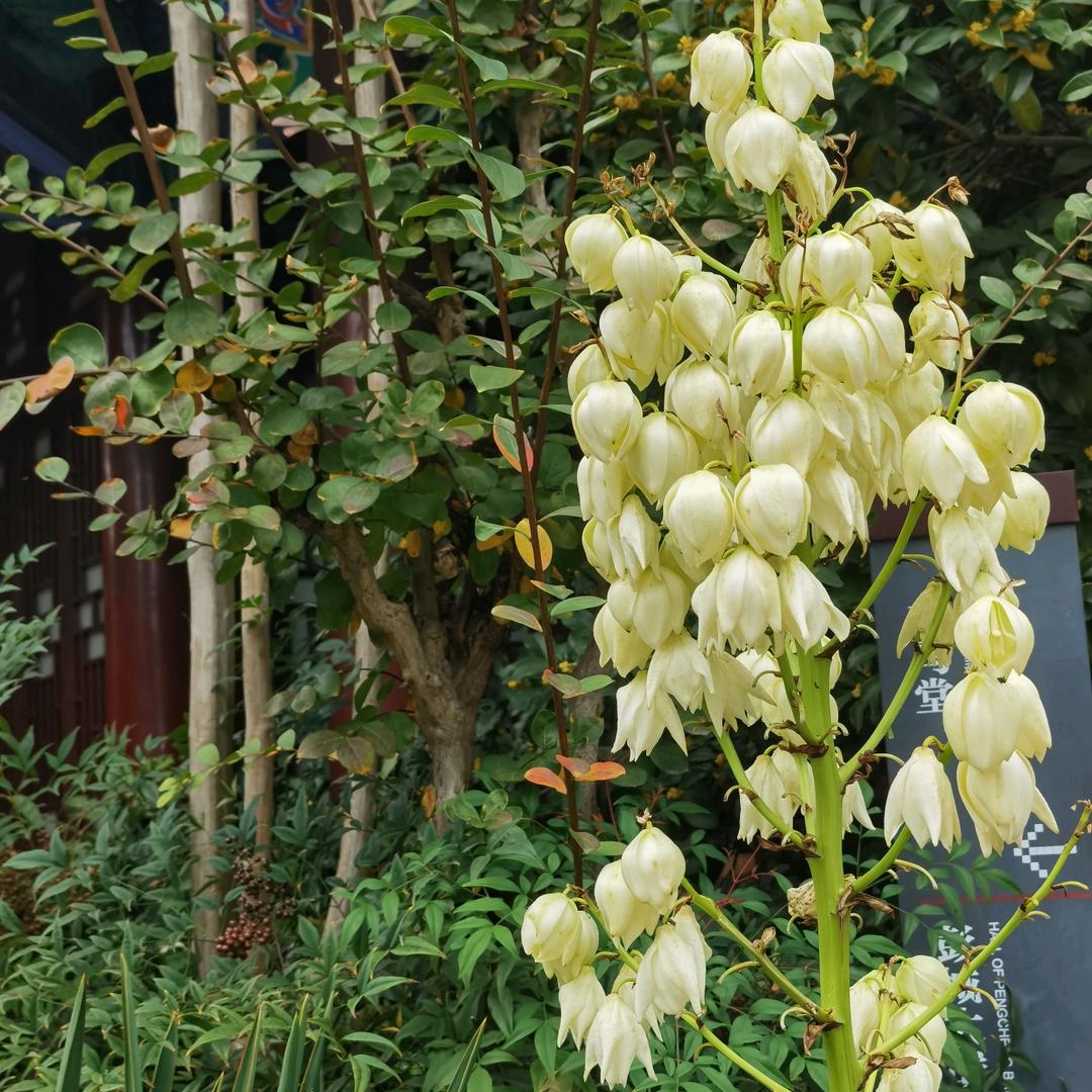 风火轮～～婚姻儒学