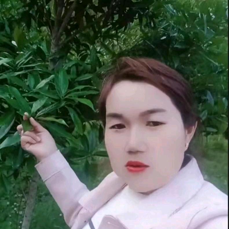 张菊珍