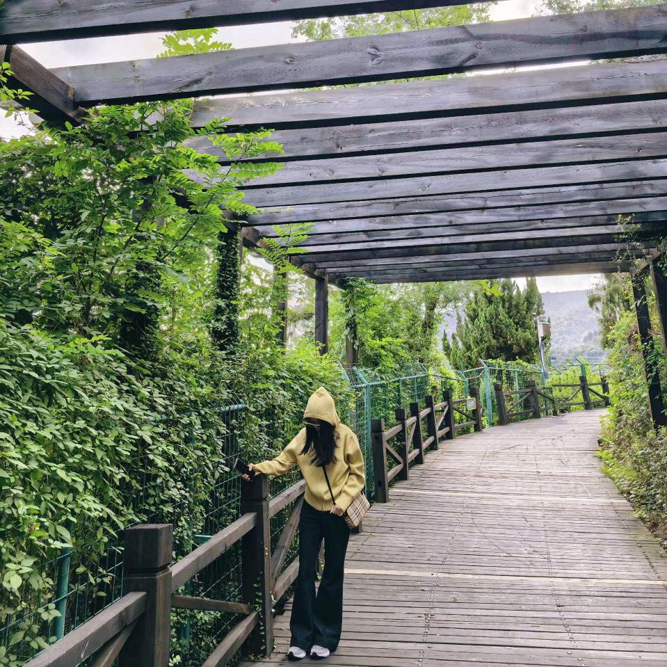 ☀🌟风🌟🌟🌟🌟🌟🌟