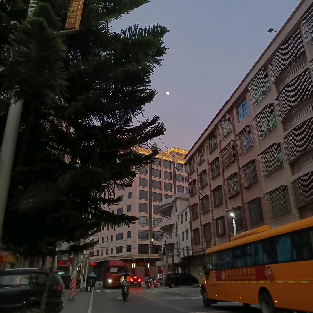 一只爱睡觉的猪