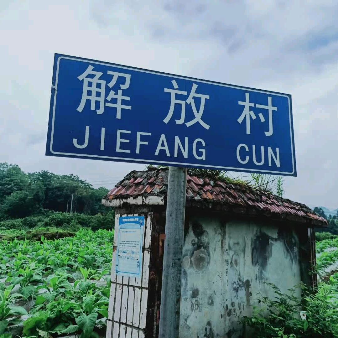 与你相冯
