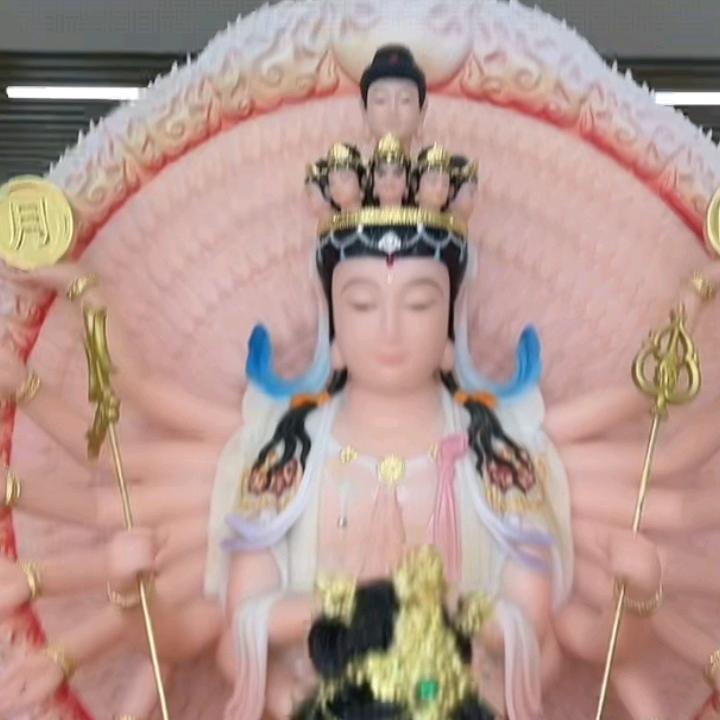 福家爱好者