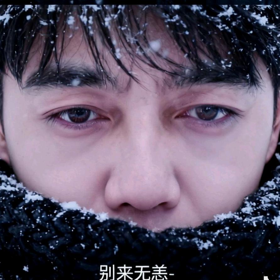 真心换无情