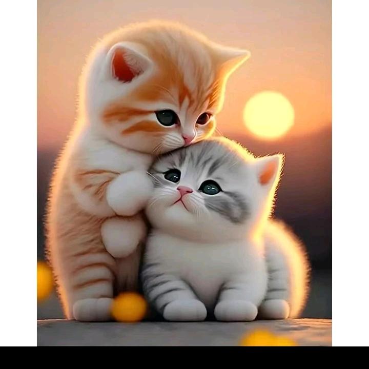 沁县专业拖车救援