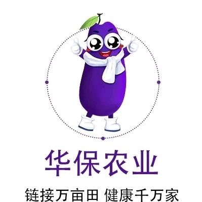 新手头像