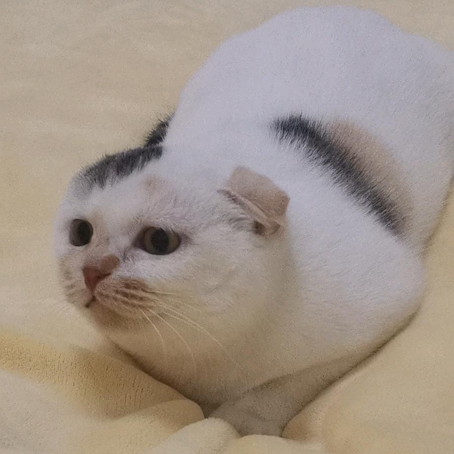 赵相机
