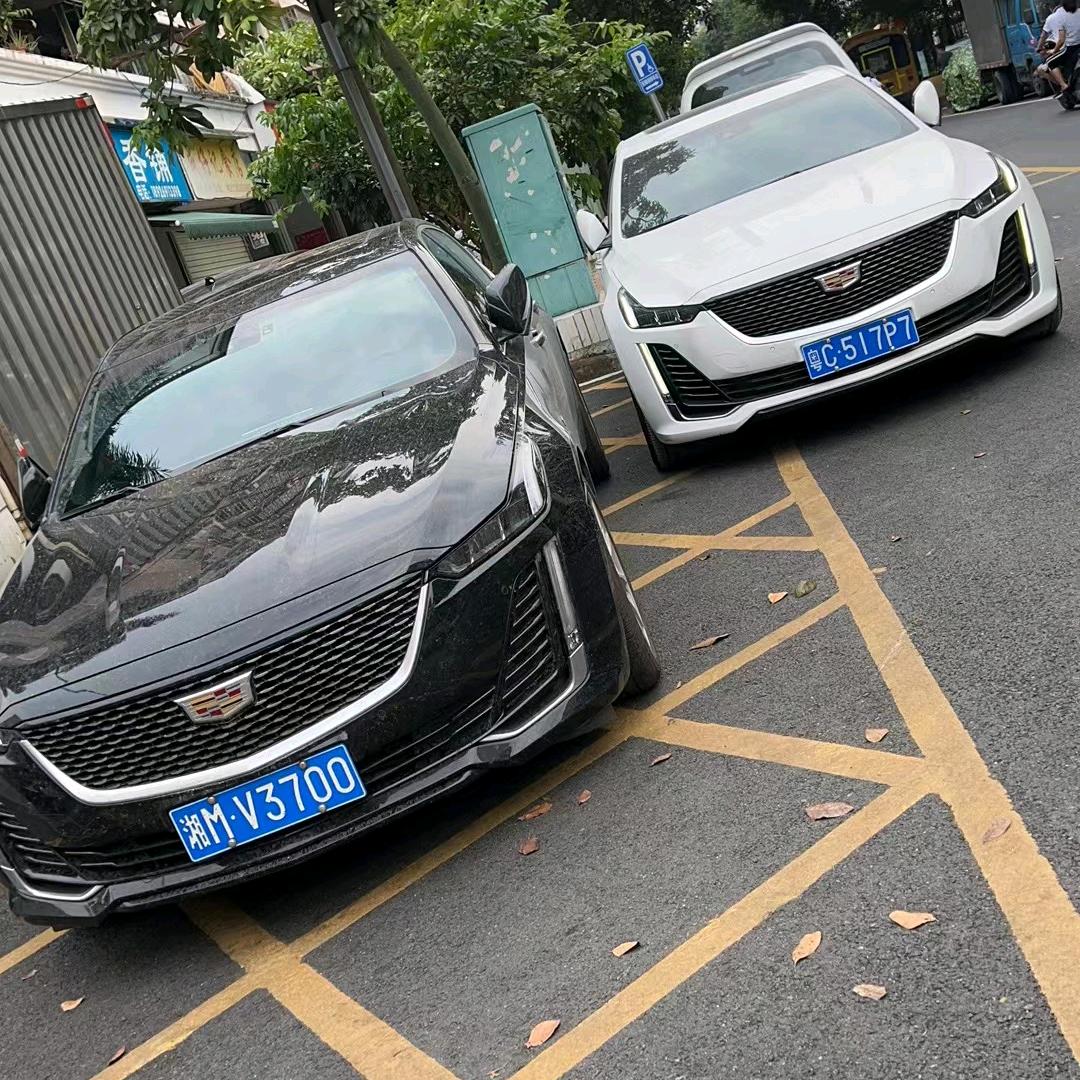 龟龟