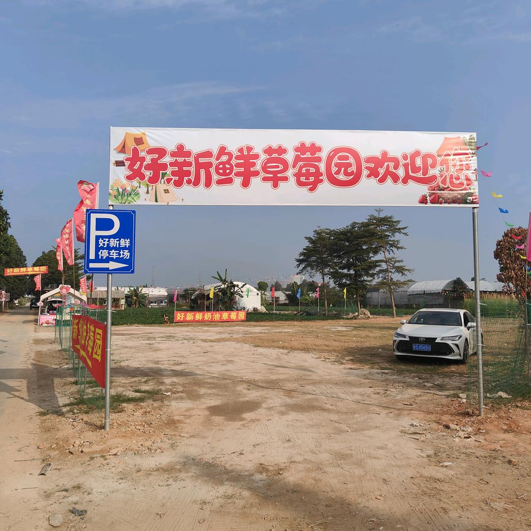 东莞市厚街好新鲜草莓种植园（个体工商户）