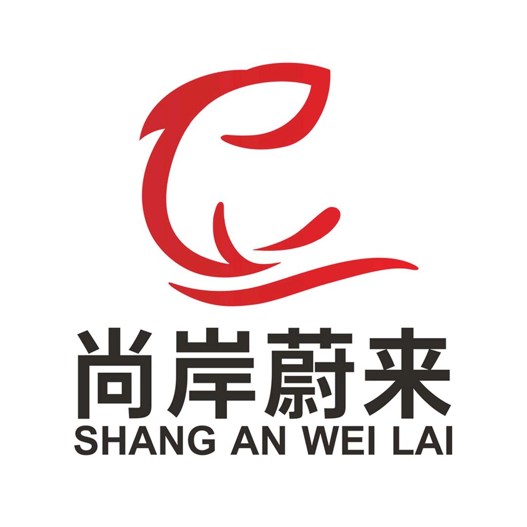 山东尚岸蔚来教育