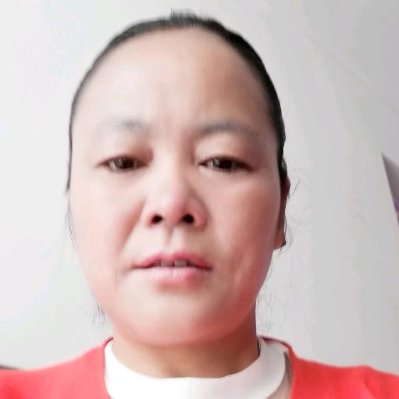 壹网情深