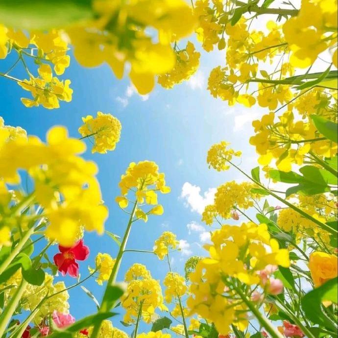 水哥带你吃喝玩