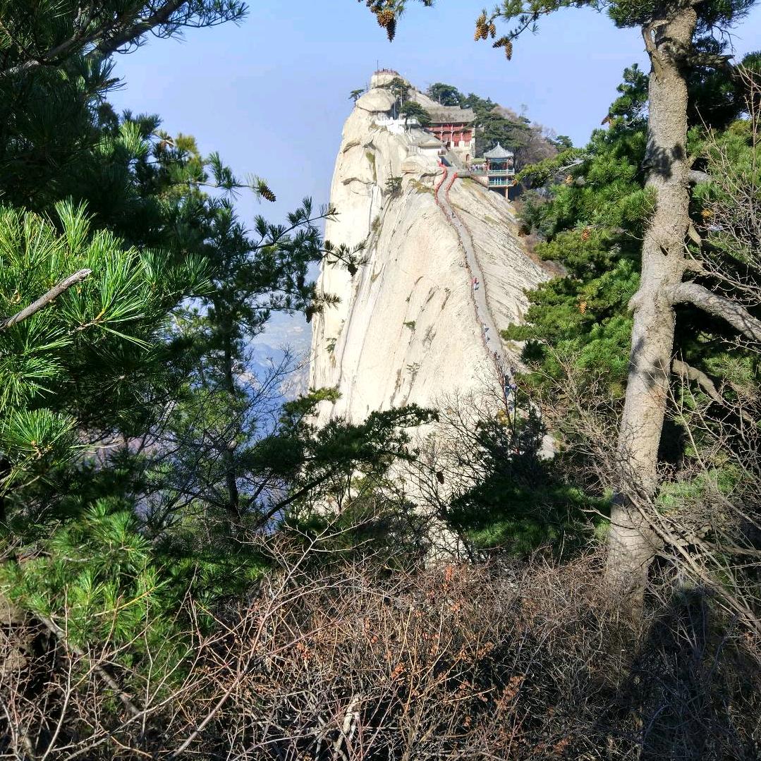 四季平安