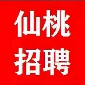 涛哥带你找工作