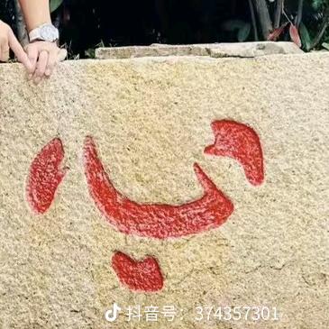 a天鹅有罪