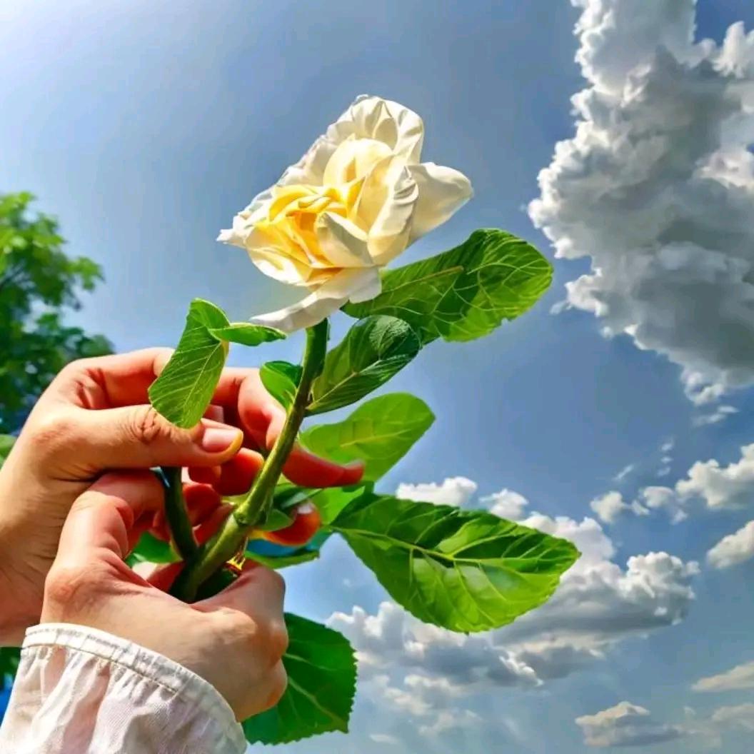 爱《平安喜乐》