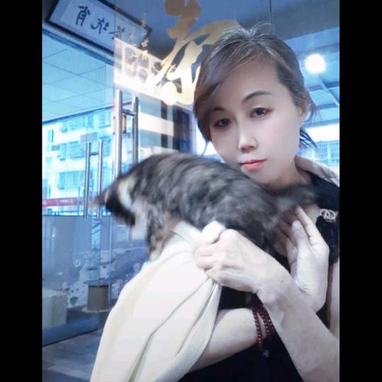 结缘猫亲家。