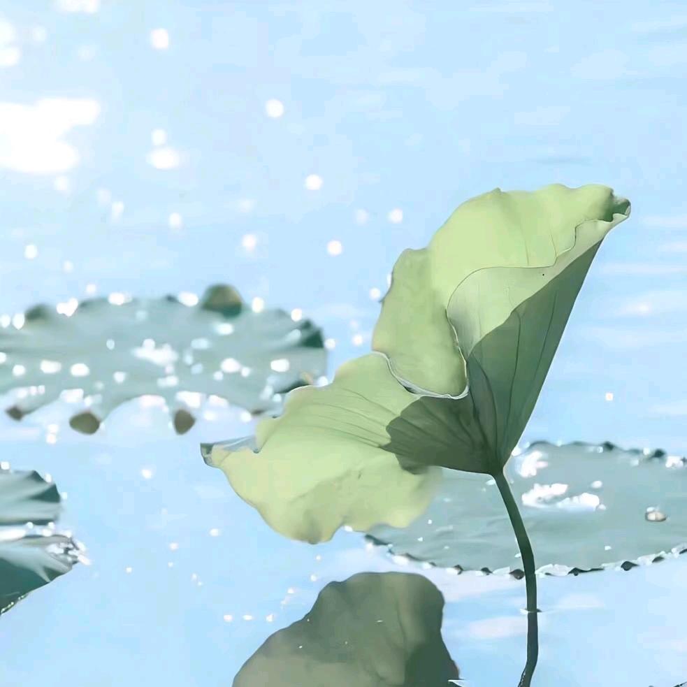 (/≧▽≦)/~┴┴