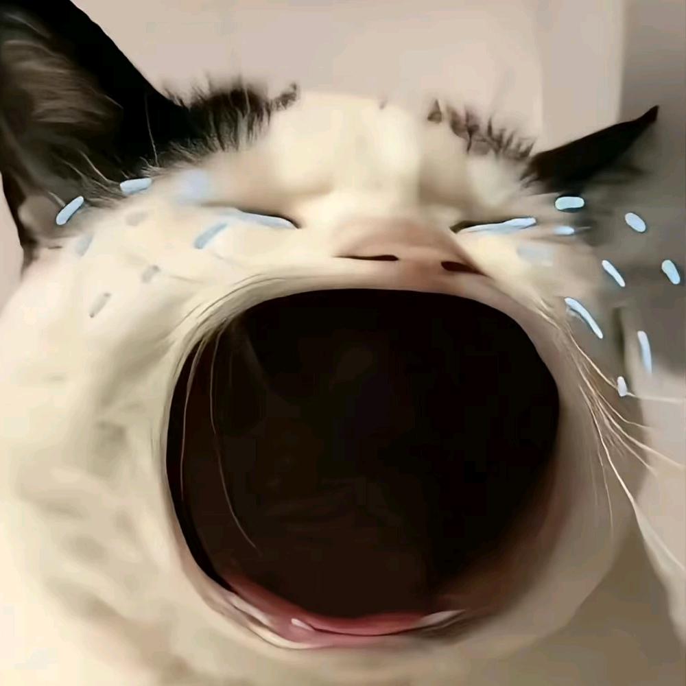 李子木