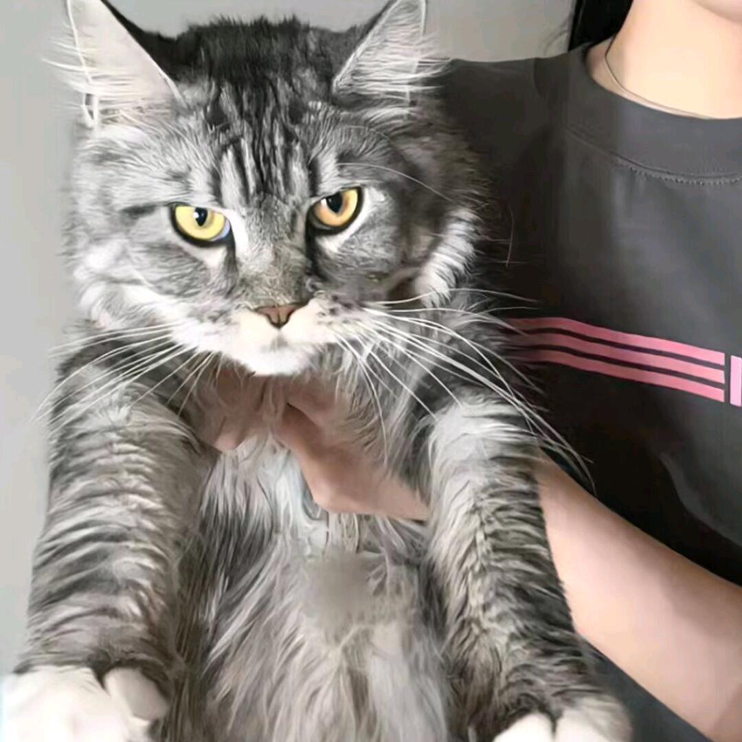 济南智远企业信息咨询有限公司