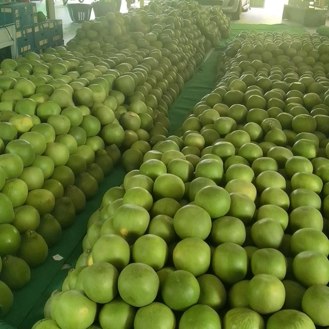 做水果的中年大叔