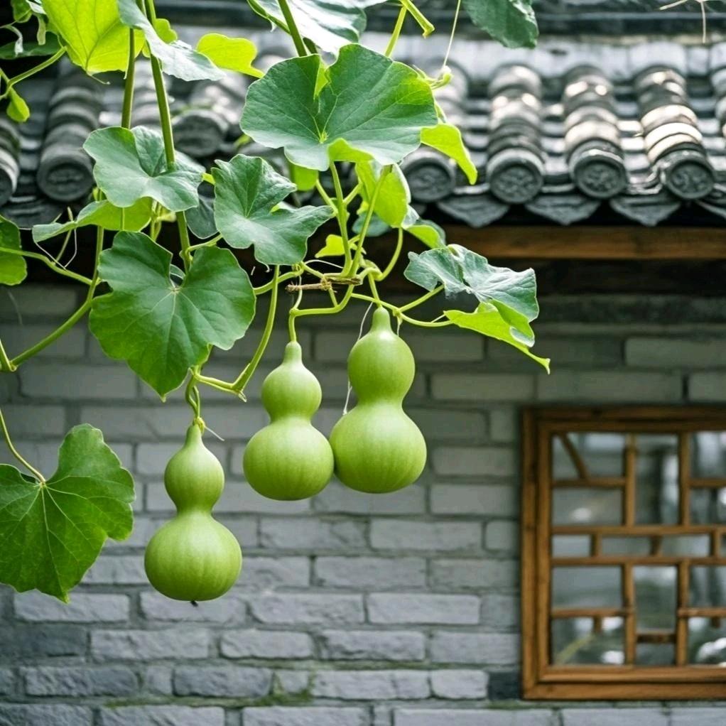 熙&媛