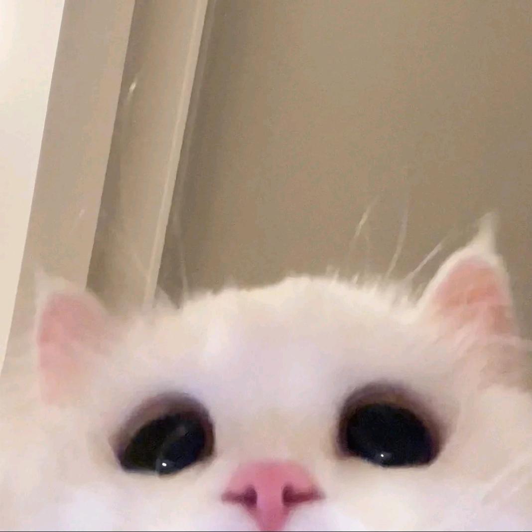 Echo: