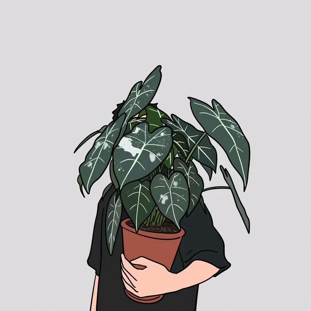 甘悦优选生活好物