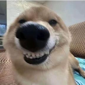 2658816097