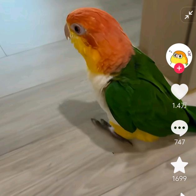 独霸天下