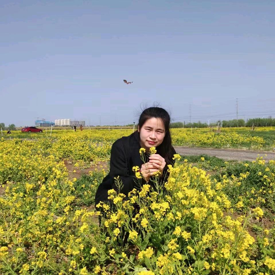 莲莲