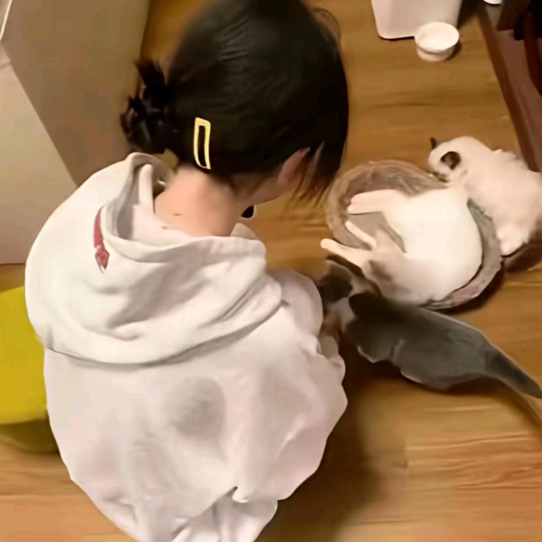 可爱的方便面