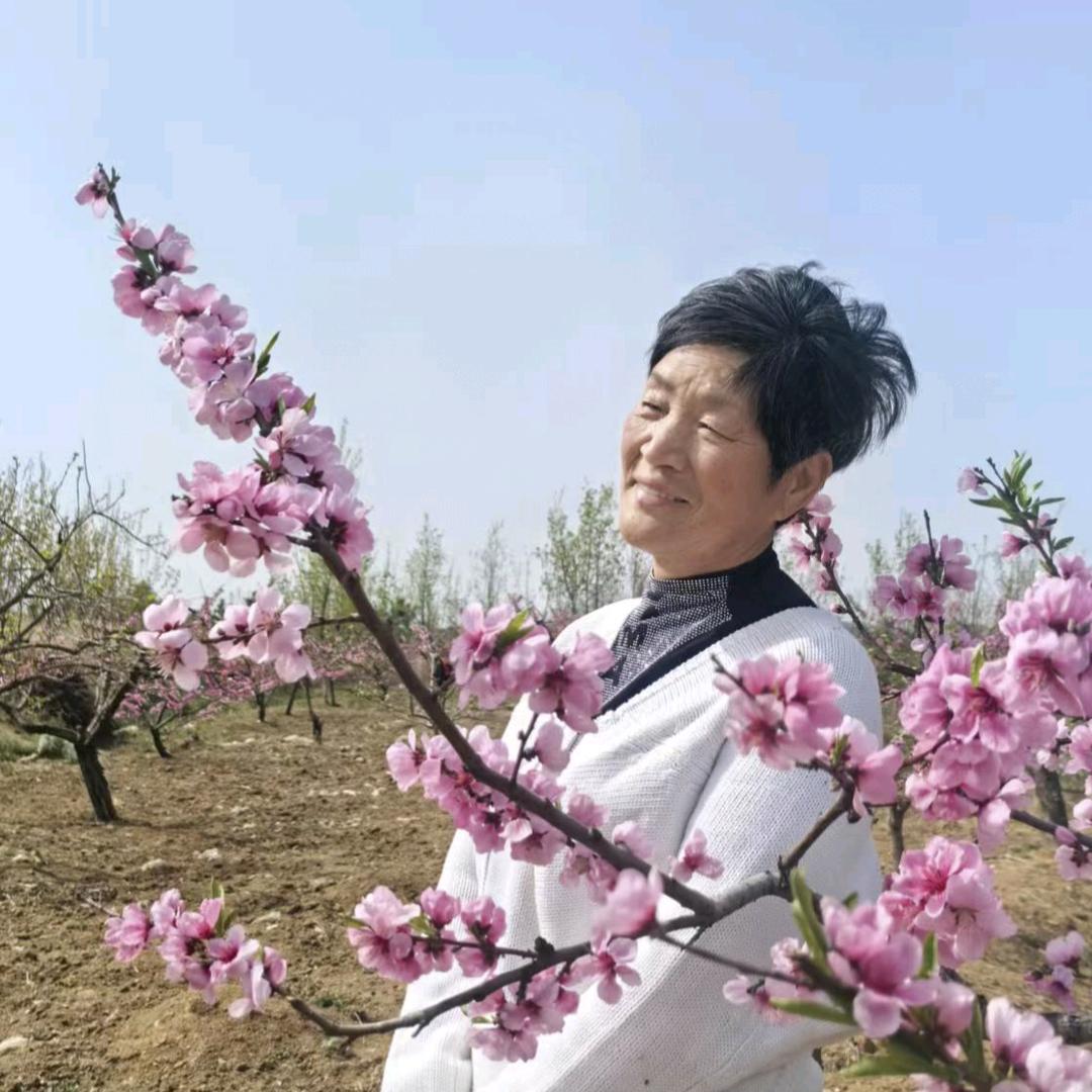 老马