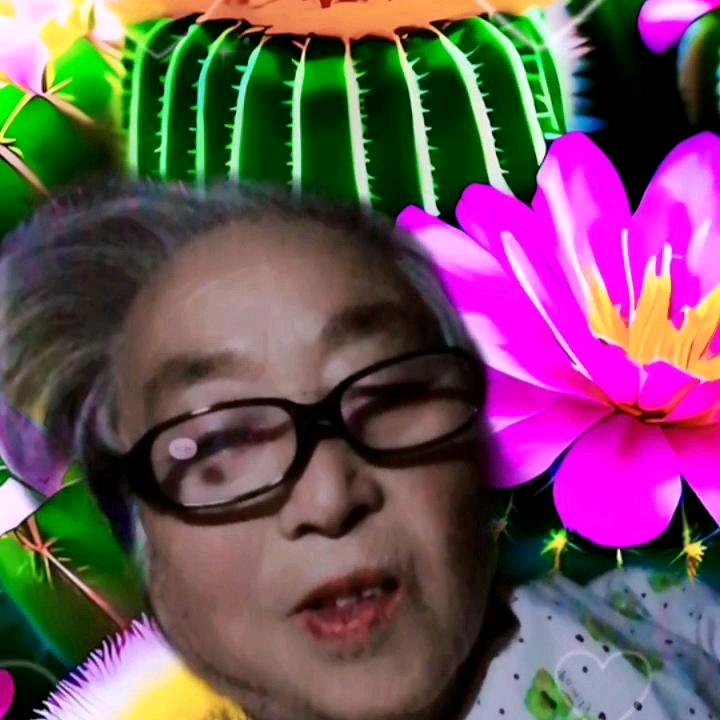 杨素珍？头像