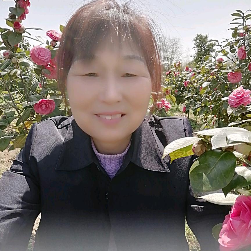 老太婆