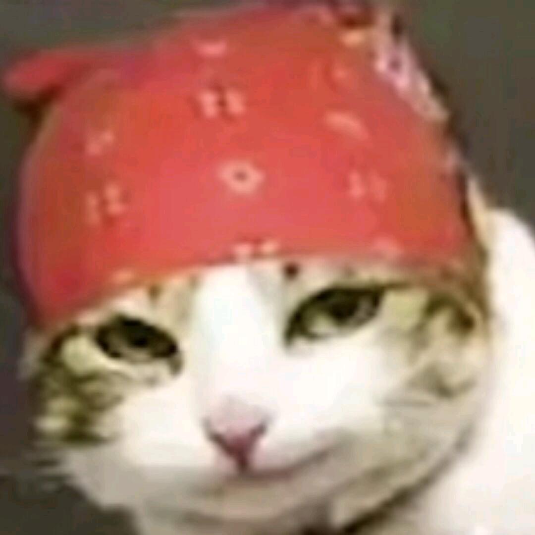 北京佳昊鑫旺运营号