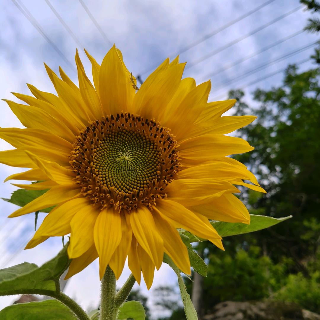 💕᭄ꦿ余🕊生🥀不🕊将🥀就☔️