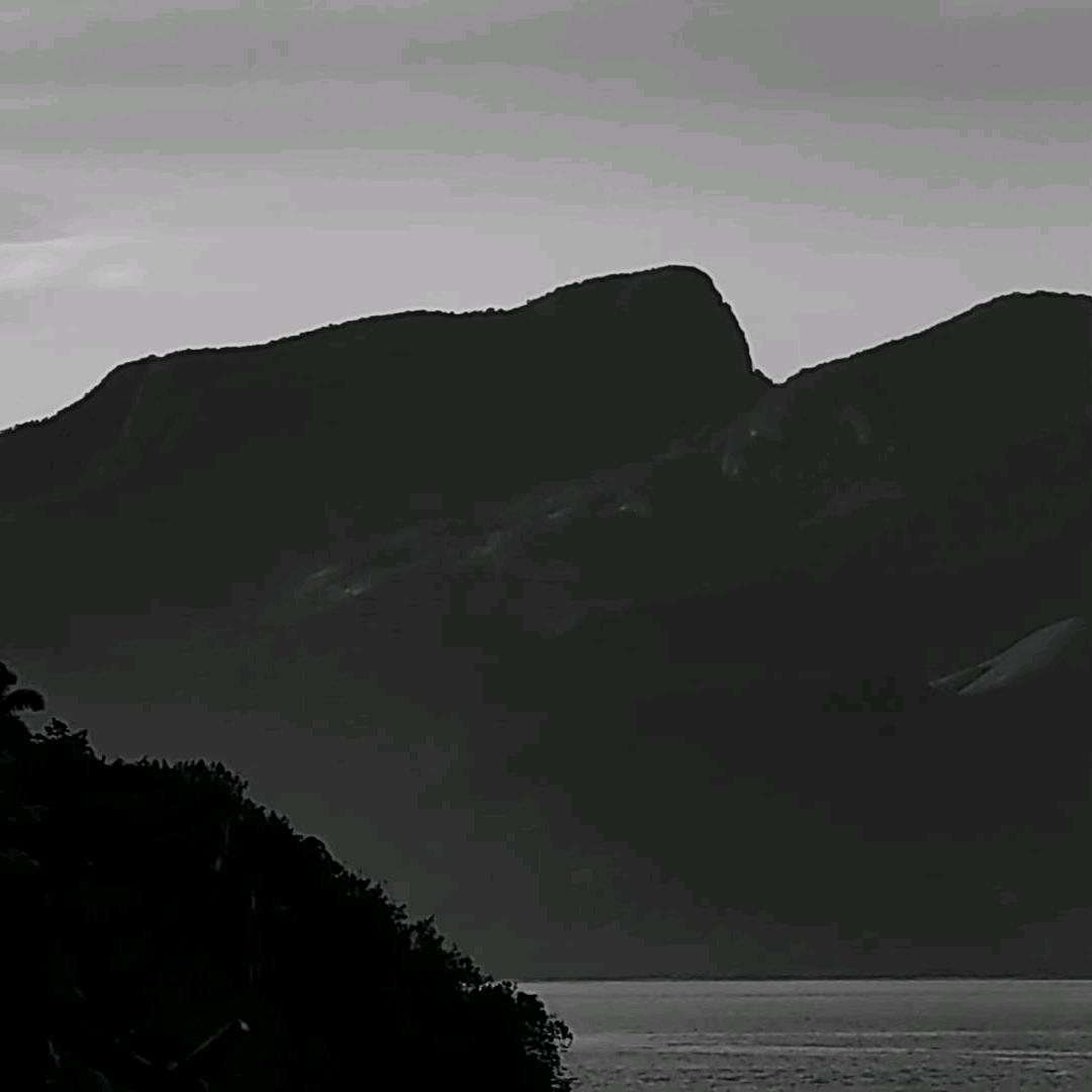 王丑花（航海并忙忙忙忙忙里偷闲版）