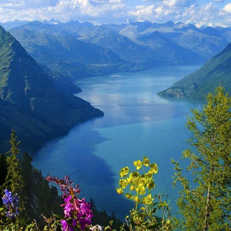 心想事成。。。