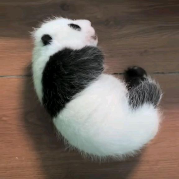 🌈🌈@_@xyll🌈🌈