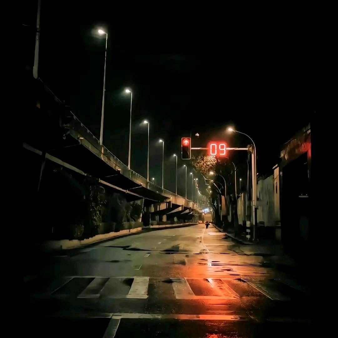 诺&泽
