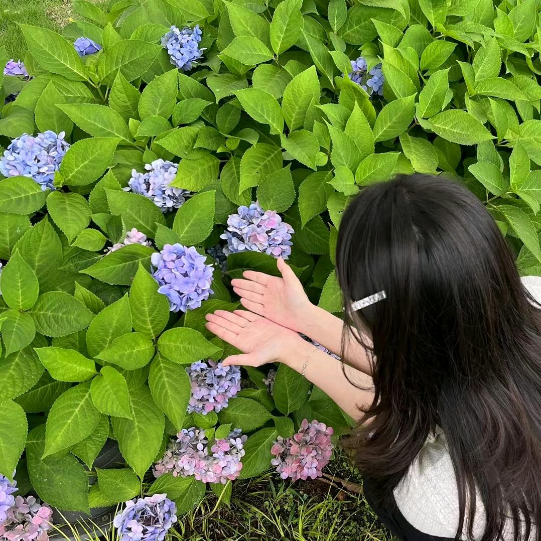 你的上好佳✨